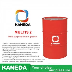 KANEDA MULTIS 2 الشحوم الليثيوم متعددة الأغراض.